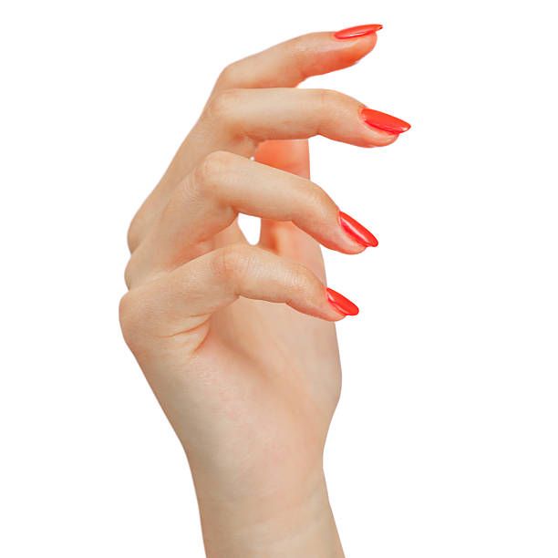 nail types